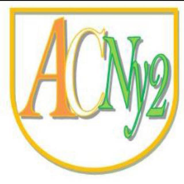 Logo Niamey II